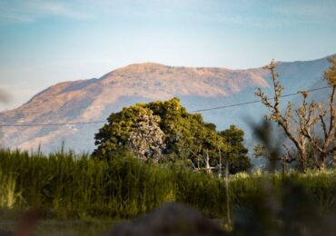 Jim Corbett (2)