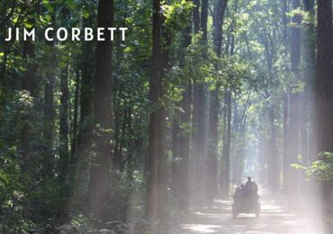 Jim Corbett (3)