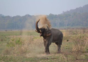 Jim Corbett (4)