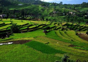 Kausani (3)