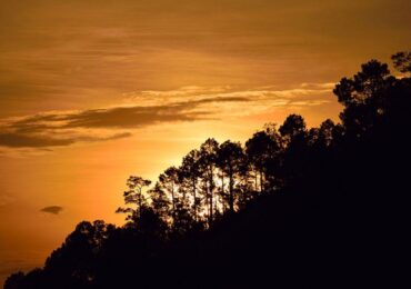 Kausani (4)