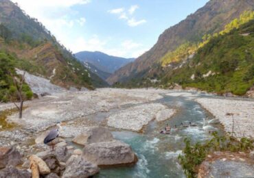 Kausani (5)