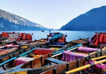 Nanital (1)