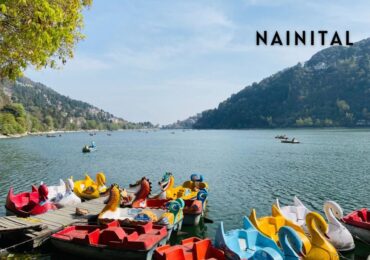 Nanital (4)