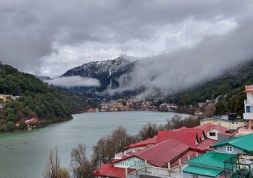 Nanital (5)